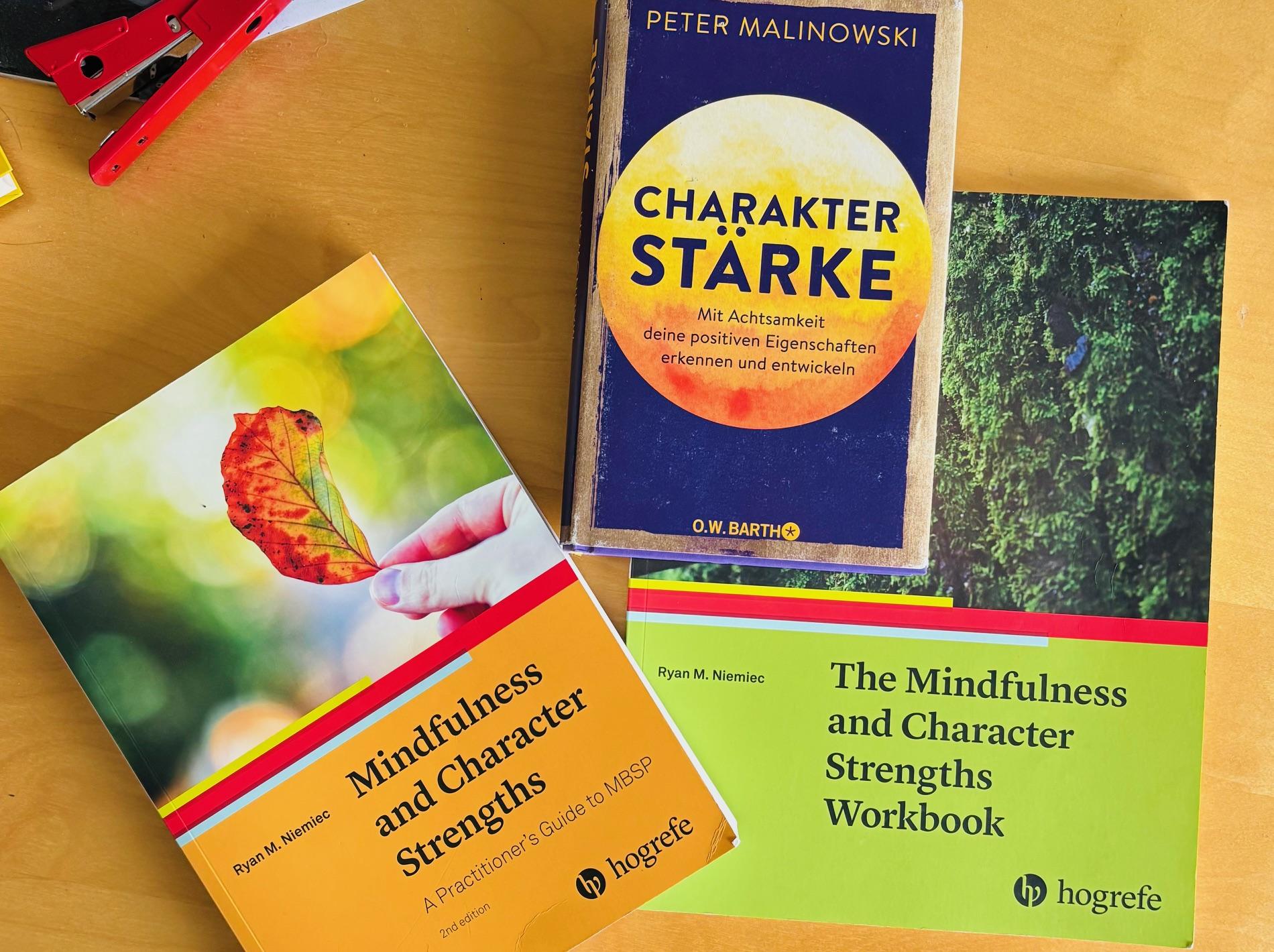 Geistreich Achtsamkeit Positve Psychologie MBSP VIA-Studie 2025